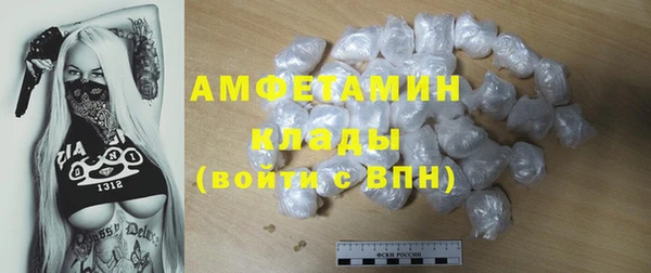 индика Зеленокумск