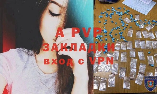 индика Зеленокумск