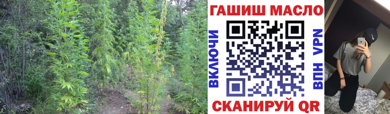Дистиллят ТГК концентрат  где купить наркотик  мега зеркало  Азов 